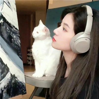 妖精琳琳的秘密